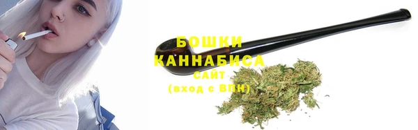 ГАЛЛЮЦИНОГЕННЫЕ ГРИБЫ Заволжск