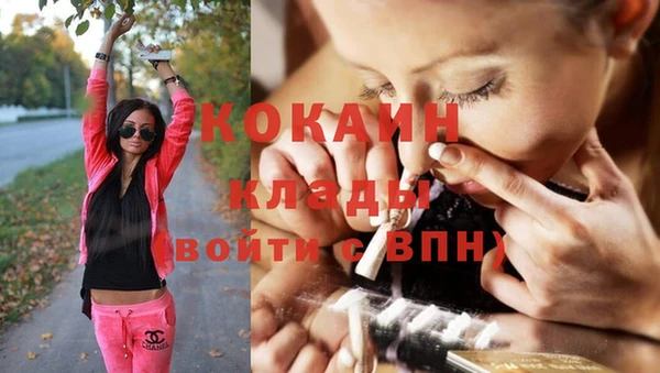спиды Заводоуковск