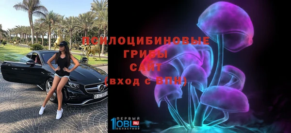 спиды Заводоуковск